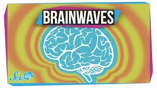 What Do Different Brainwaves Mean [upl. by Ateval]