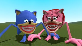 Baby Sonic Tapes Family in Garrys Mod [upl. by Demahum]