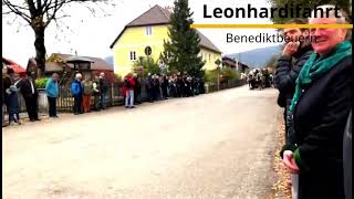 05112024 \Leonhardifahrt \Benediktbeuern \Bayern \Reisen Deutschland DE shortvideo horse [upl. by Indira318]