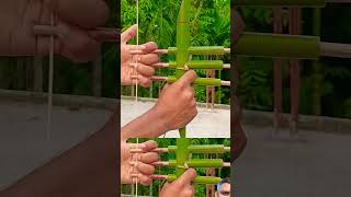 bamboo creation mambo amazing art videodiy bamboo BambooAmezingArt [upl. by Leveridge188]