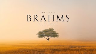 Best of Brahms  Classical Music Gems [upl. by Annor981]