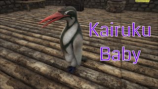 ARK  Kairuku  how to breed [upl. by Giustino]