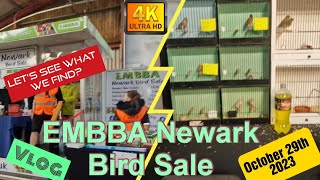 EMBBA Newark Bird Sale Vlog  October 29th 2023  Lets See What Birds Are For Sale [upl. by Harad]