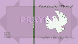 AudioBook 12  Prayer and Praise  AI [upl. by Strait]