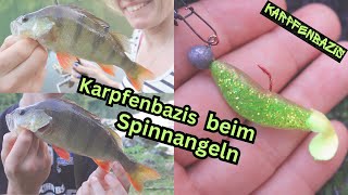 Die Karpfenbazis beim Spinnangeln  Raubfischangeln [upl. by Eirahcaz]