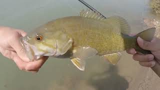 Creek hoppin an dookie droppin  Fly Fishing [upl. by Yoral952]