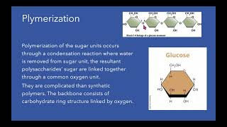 chapter 6 Polymer chemistry applications [upl. by Tia]