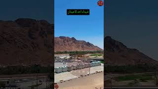 Hazrat e Ameer Hamza  RA  ytshorts freefalestine bayan weloveislam love live [upl. by Russell]