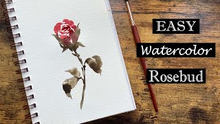 SUPER Simple Watercolor Rosebud  DEMO for Beginners  Painting in RealTime [upl. by Hugon]