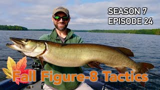 EPIC Early Fall Figure8 Musky Muskie Tips for Cooling Water  S7E24 [upl. by Wharton406]