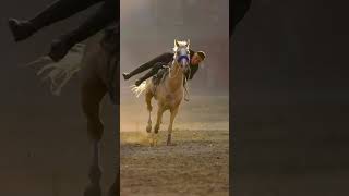 The unique Arabian horse Unparalleled riding skills✌️👍 horsevideo horse horseridind horses [upl. by Baptista]