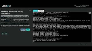 Veracode Security Labs demo [upl. by Altaf]