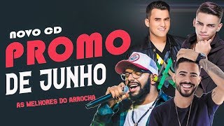 TOP 10 DO ARROCHA  AS MELHORES DE 2019  LANÇAMENTO MAIOJUNHO [upl. by Bron555]