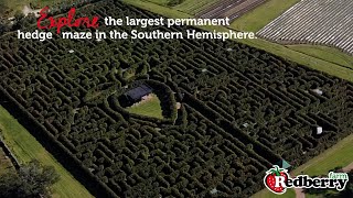 Hedge Maze  Redberry Farm [upl. by The]