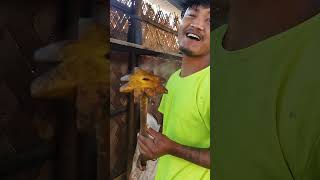 Assamese funny comedy vlog [upl. by Jp127]