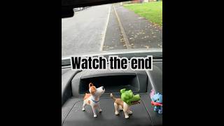 Stop motion stitch v dogs shortsvideo stitch stopmotion dogshorts art animation [upl. by Iyre]