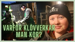 PEDIKYR för kossorna  Vlogg 82 [upl. by Garek686]