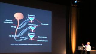 Congres Urologie  20 april 2015  Dr Jo Ampe  OAB  deel 1 [upl. by Orfinger]