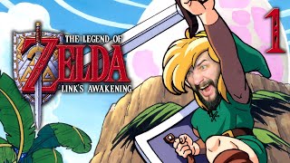 Plages Mouettes Amourette et Désillusion  Zelda Links Awakening DX  Part 1 [upl. by Otreblide]