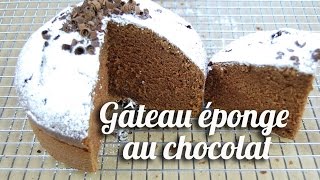 Gâteau éponge au chocolat inratable [upl. by Bartle]