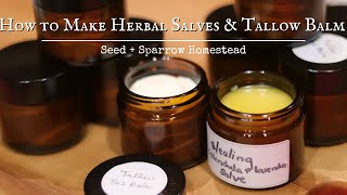 The Homestead Apothecary  How to Make Herbal Salves and Tallow Balm [upl. by Titos]