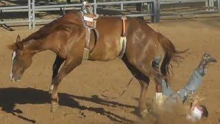 Ranch Broncs  2018 Will Rogers Range Riders Rodeo  Thursday [upl. by Divadnahtanoj]