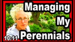 Managing My Perennials  Wisconsin Garden Video Blog 410 [upl. by Goodill]