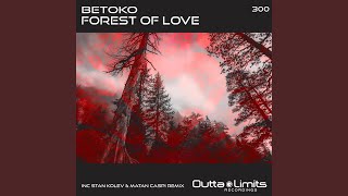 Forest of Love Stan Kolev amp Matan Caspi Remix [upl. by Africa]