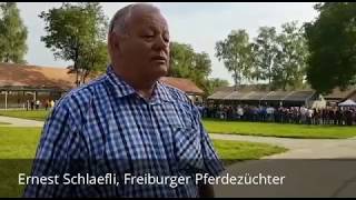 Interview mit Ernest Schlaefli Freiburger Pferdezüchter [upl. by Ecikram639]