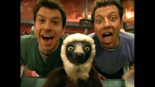 zoboomafoo with the Kratts brothers  hail to tails  full episode  Kratts series  kids video [upl. by Eileek]