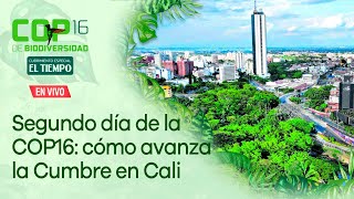 Segundo día de la COP16 le mostramos cómo avanza la Cumbre de Biodiversidad en Cali [upl. by Eened]