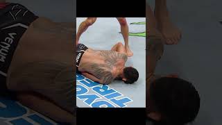 Michael Chandler Headkick🤯 nocommentary ufc309 [upl. by Ablasor864]