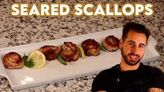 How to Cook Perfect Scallops [upl. by Rairb441]