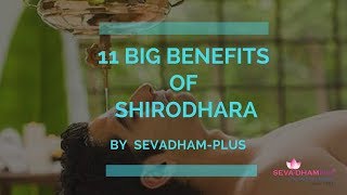 11 Big Benefits Of Shirodhara By SevadhamPlus [upl. by Arvell]