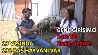 23 Yaşında 232 HAYVAN SAHİBİ OLDU Genç Girişimci Desteği Nasıl Alınır [upl. by Stefan804]