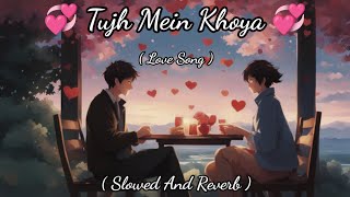 Tujh Mein Khoya  Hindi Song  Lofi Song  Slowed And Reverb [upl. by Araf]