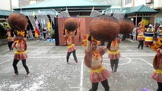 Pintados Festival [upl. by Vogeley]