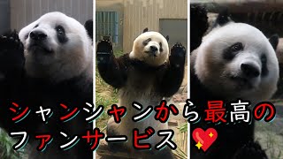 上野動物園に行こう！🐼 ⑲ 2022年8月3日 [upl. by Notniuqal289]