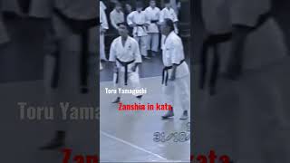 Zanshin in kata Toru Uamaguchi sesnei Full video 👇 [upl. by Arakawa]