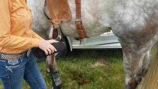 Barrel Racing Tack amp Equipment [upl. by Chrysler]