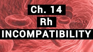 Ch14 Rh INCOMPATIBILITY  BLOOD PHYSIOLOGY [upl. by Vacuva]