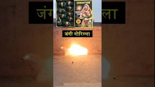 Testing Sutli Bomb Hydro Cornation Brand bomb crackers diwali2024 fireworks sutlibomb ytshorts [upl. by Dnartreb]