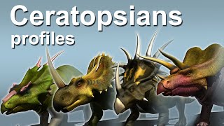 Ceratopsians profiles [upl. by Riki]