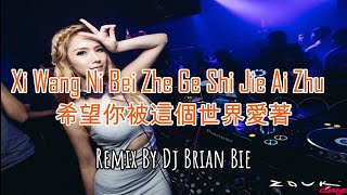 Xi Wang Ni Bei Zhe Ge Shi Jie Ai Zhu  希望你被這個世界愛著 Electro Manyao By Dj Brian Bie dj抖音版2024 [upl. by Selima]