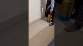 termites termitescontrol housecleaning homecleaning trending ytshorts viralvideo explore yt [upl. by Ali67]