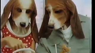 Hush Puppies Puppy Love advert 1989 [upl. by Foskett316]