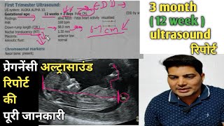 12 week ultrasound  sonography se kaise jane ladka hai ya ladki  6 week ultrasound  trimester [upl. by Nerual434]