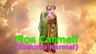 Kusuma Karmel Flos Carmeli [upl. by Dorolice]