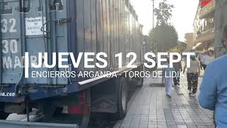 Encierros Arganda 2024  Primero del jueves 12 Septiembre Lidia [upl. by Neeloc]