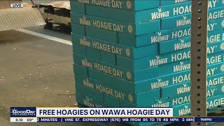 Wawa loads up hoagies as it gets ready for Free Hoagie Day [upl. by Moran]